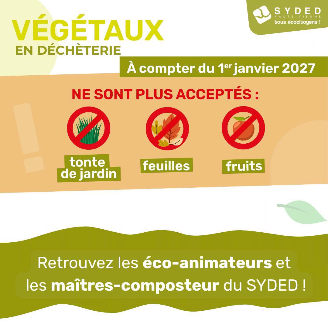 fin tontes feuilles 227